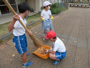 IMG_8616 IMG_8616