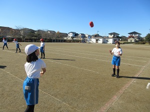 IMG_8660 IMG_8660
