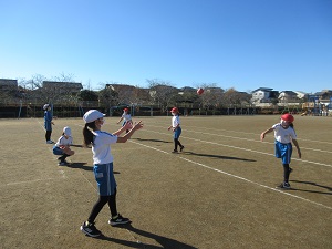 IMG_8661 IMG_8661