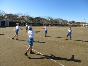 IMG_8662 IMG_8662