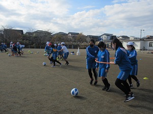IMG_8682 IMG_8682