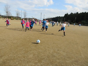 IMG_8692 IMG_8692