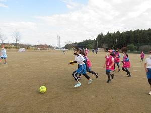 IMG_8694 IMG_8694