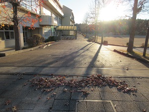 IMG_8708 IMG_8708