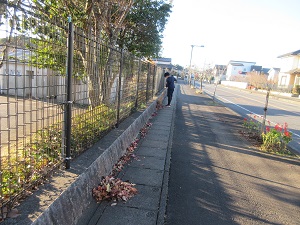 IMG_8714 IMG_8714
