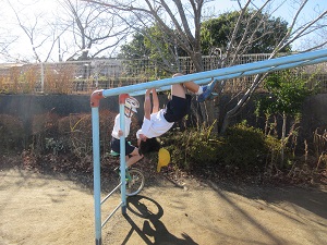 IMG_8725 IMG_8725
