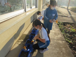 IMG_8741 IMG_8741