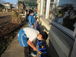 IMG_8742 IMG_8742