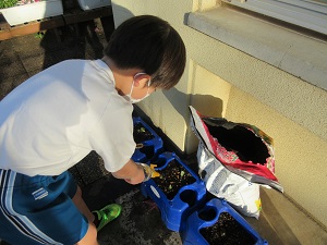 IMG_8744 IMG_8744