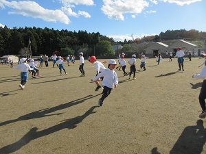 IMG_8753 IMG_8753