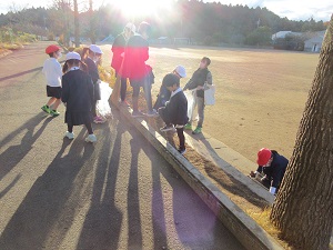 IMG_8760 IMG_8760