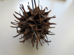 IMG_8765 IMG_8765