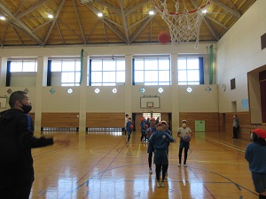 IMG_8786 IMG_8786