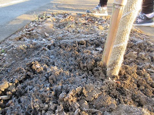 IMG_8794 IMG_8794