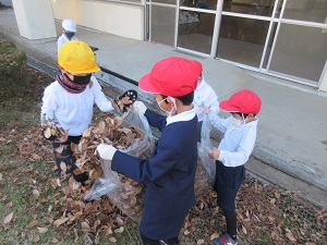 IMG_8799 IMG_8799