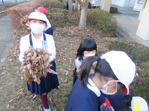 IMG_8800 IMG_8800