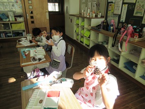IMG_8809 IMG_8809