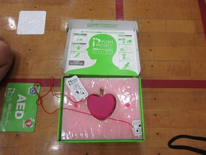 IMG_8828 IMG_8828
