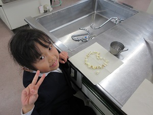 IMG_8860 IMG_8860