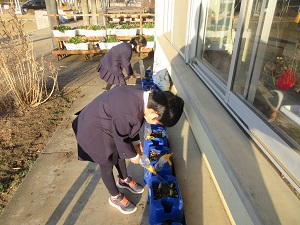 IMG_8923 IMG_8923