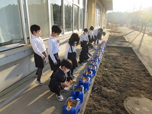 IMG_8924 IMG_8924