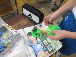 IMG_8933 IMG_8933