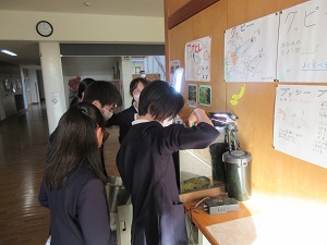 IMG_8959 IMG_8959