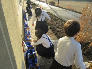 IMG_8976 IMG_8976