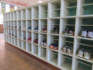 IMG_8979 IMG_8979
