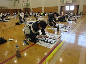 IMG_9005 IMG_9005