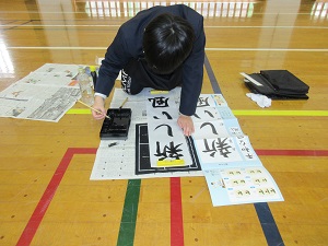 IMG_9040 IMG_9040
