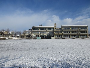 IMG_9113 IMG_9113