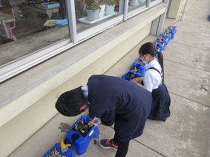IMG_9318 IMG_9318