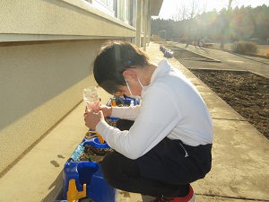 IMG_9328 IMG_9328