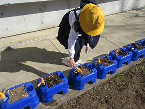 IMG_9338 IMG_9338