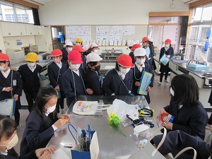IMG_9372 IMG_9372
