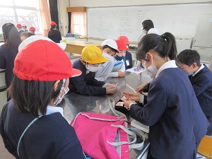 IMG_9375 IMG_9375
