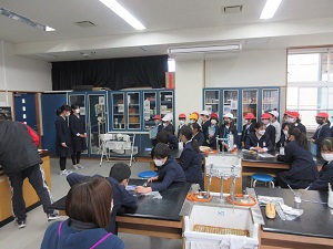 IMG_9376 IMG_9376