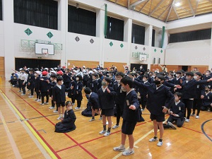 IMG_9530 IMG_9530
