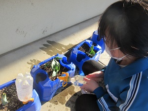 IMG_9544 IMG_9544