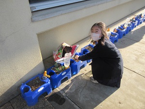 IMG_9546 IMG_9546