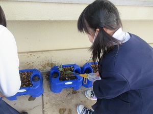 IMG_9562 IMG_9562
