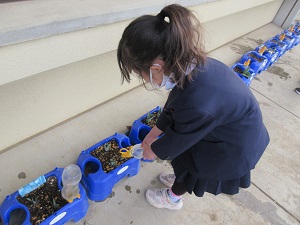 IMG_9563 IMG_9563