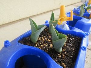 IMG_9565 IMG_9565