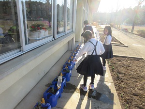 IMG_9628 IMG_9628