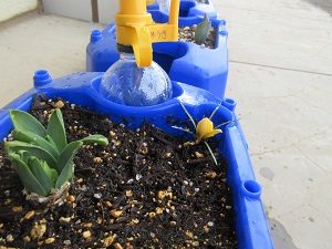IMG_9665 IMG_9665