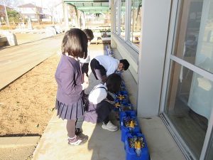 IMG_9677 IMG_9677