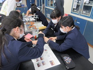 IMG_9711 IMG_9711
