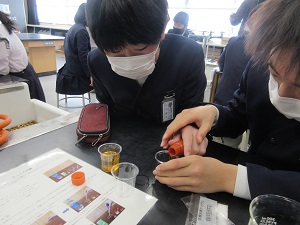 IMG_9713 IMG_9713