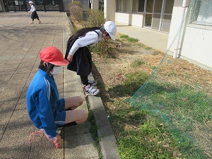 IMG_9743 IMG_9743